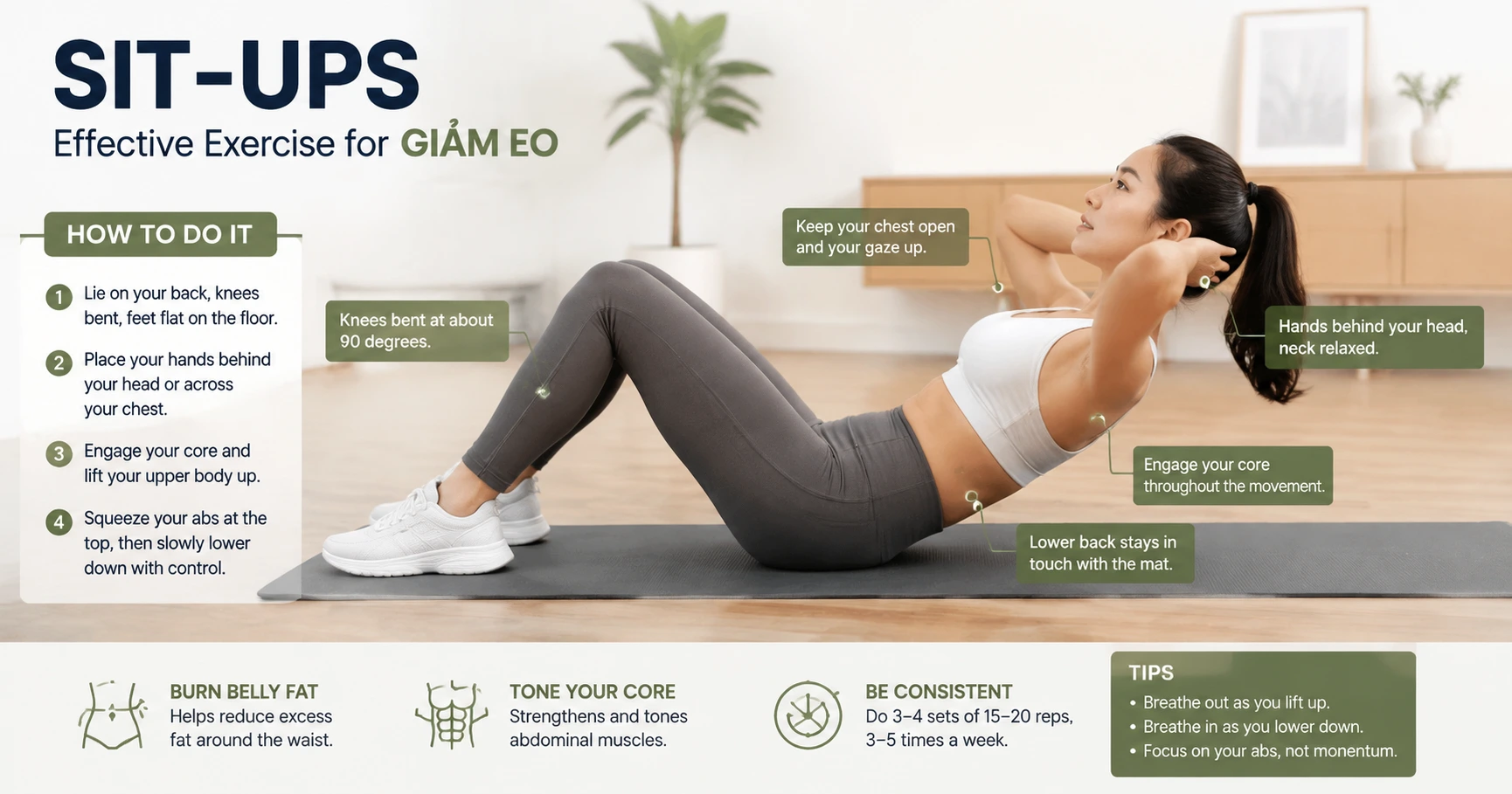 Hướng Dẫn Chi Tiết Về Thể Dục Giảm Eo Hiệu Quả Để Có Vòng Eo Thon Gọn - image 2 Hướng Dẫn Chi Tiết Về Thể Dục Giảm Eo Hiệu Quả Để Có Vòng Eo Thon Gọn - image 2